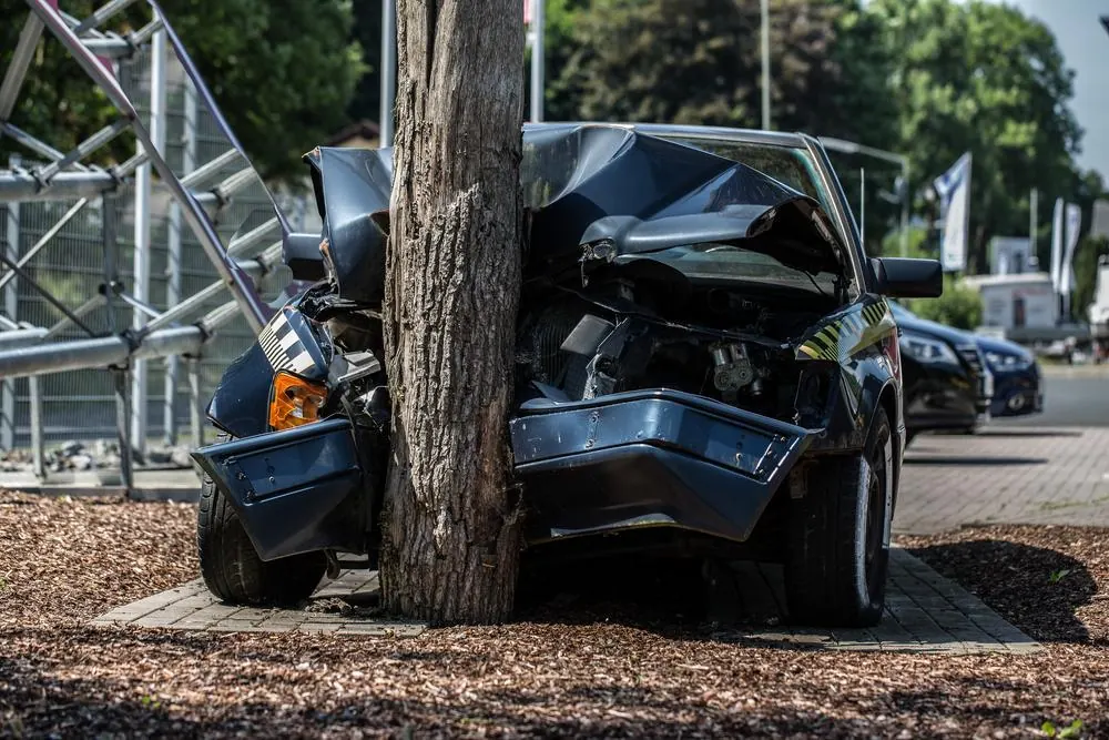 Fort Worth Car Crashes Into Tree, Kills One