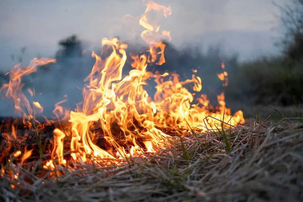 Truck Accident Starts 100-Acre Grass Fire