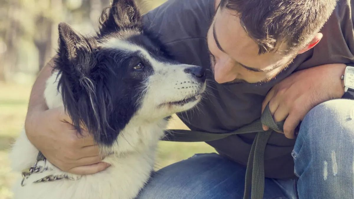 Recommendations For Pet Parents To Reduce Dog Bites